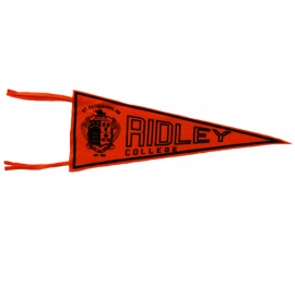 Liberty Vintage Felt Pennant